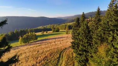 Kuzey Carolina 'daki Appalachian Dağları' nda güzel bir sabah manzarası. Sonbaharda Büyük Dumanlı Dağlar. Drone görünümü.