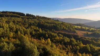 Kuzey Carolina 'daki Appalachian Dağları' nda güzel bir sabah manzarası. Sonbaharda Büyük Dumanlı Dağlar. Drone görünümü.