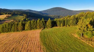 Kuzey Carolina 'daki Appalachian Dağları' nda güzel bir sabah manzarası. Sonbaharda Büyük Dumanlı Dağlar. Drone görünümü.