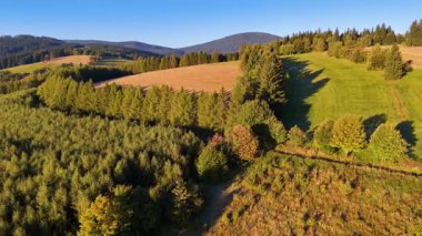 Kuzey Carolina 'daki Appalachian Dağları' nda güzel bir sabah manzarası. Sonbaharda Büyük Dumanlı Dağlar. Drone görünümü.