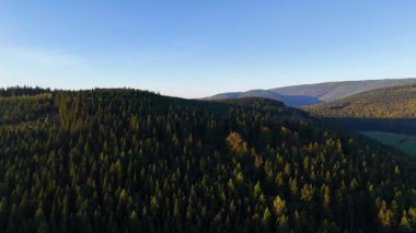 Kuzey Carolina 'daki Appalachian Dağları' nda güzel bir sabah manzarası. Sonbaharda Büyük Dumanlı Dağlar. Drone görünümü.