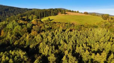 Kuzey Carolina 'daki Appalachian Dağları' nda güzel bir sabah manzarası. Sonbaharda Büyük Dumanlı Dağlar. Drone görünümü.