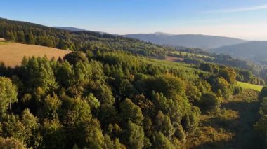 Kuzey Carolina 'daki Appalachian Dağları' nda güzel bir sabah manzarası. Sonbaharda Büyük Dumanlı Dağlar. Drone görünümü.