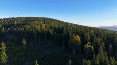 Kuzey Carolina 'daki Appalachian Dağları' nda güzel bir sabah manzarası. Sonbaharda Büyük Dumanlı Dağlar. Drone görünümü.