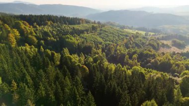 Kuzey Carolina 'daki Appalachian Dağları' nda güzel bir sabah manzarası. Sonbaharda Büyük Dumanlı Dağlar. Drone görünümü.