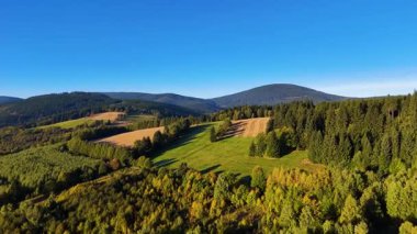 Kuzey Carolina 'daki Appalachian Dağları' nda güzel bir sabah manzarası. Sonbaharda Büyük Dumanlı Dağlar. Drone görünümü.