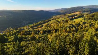 ABD 'nin Kaliforniya eyaletindeki Redwood Ulusal Parkı' nda sonbaharda yemyeşil bir çam ormanının hava görüntüsü. Bir dron vahşi ormanın üzerinde uçuyor. Manzara ağaç tepelerine kadar uzanıyor..