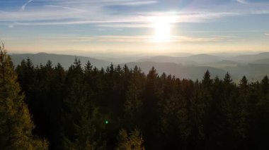 ABD 'nin Kaliforniya eyaletindeki Redwood Ulusal Parkı' nda sonbaharda yemyeşil bir çam ormanının hava görüntüsü. Bir dron vahşi ormanın üzerinde uçuyor. Manzara ağaç tepelerine kadar uzanıyor..