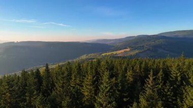 ABD 'nin Kaliforniya eyaletindeki Redwood Ulusal Parkı' nda sonbaharda yemyeşil bir çam ormanının hava görüntüsü. Bir dron vahşi ormanın üzerinde uçuyor. Manzara ağaç tepelerine kadar uzanıyor..