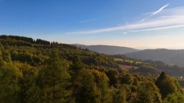 ABD 'nin Kaliforniya eyaletindeki Redwood Ulusal Parkı' nda sonbaharda yemyeşil bir çam ormanının hava görüntüsü. Bir dron vahşi ormanın üzerinde uçuyor. Manzara ağaç tepelerine kadar uzanıyor..