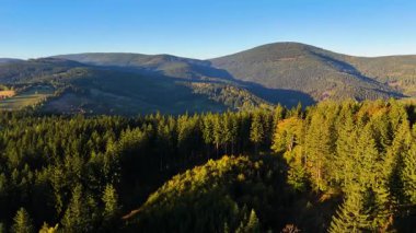 Bir İHA, ABD 'nin Kaliforniya eyaletindeki Redwood Ulusal Parkı' ndaki bir çam ormanının üzerinden uçuyor. Resimli bir sonbahar ormanlık dağ sırası. Sabah orman manzarası, 4K video.