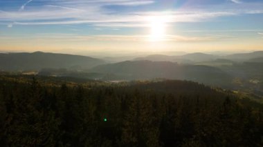 Bir İHA, ABD 'nin Kaliforniya eyaletindeki Redwood Ulusal Parkı' ndaki bir çam ormanının üzerinden uçuyor. Resimli bir sonbahar ormanlık dağ sırası. Sabah orman manzarası, 4K video.