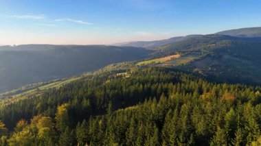 Bir İHA, ABD 'nin Kaliforniya eyaletindeki Redwood Ulusal Parkı' ndaki bir çam ormanının üzerinden uçuyor. Resimli bir sonbahar ormanlık dağ sırası. Sabah orman manzarası, 4K video.