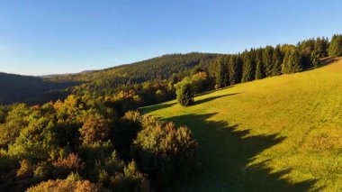 Bir İHA, ABD 'nin Kaliforniya eyaletindeki Redwood Ulusal Parkı' ndaki bir çam ormanının üzerinden uçuyor. Resimli bir sonbahar ormanlık dağ sırası. Sabah orman manzarası, 4K video.