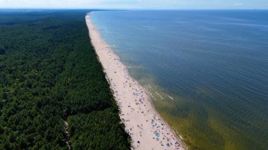 Baltık Denizi Stegna Polonya 'dan sahil manzarası
