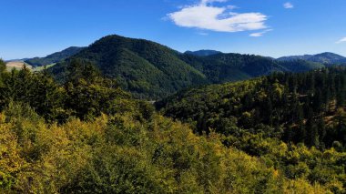 Aerial view of lush green forest with mountains creating a serene nature setting, Sitka, Alaska, USA.
