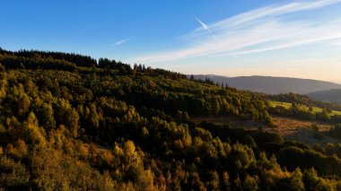 Gündoğumunda insansız hava aracı uçuşu, dağlar, orman, ABD, Amerika