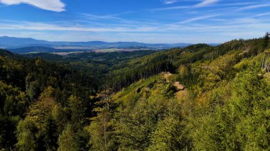 Aerial view of lush green forest with mountains creating a serene nature setting, Sitka, Alaska, USA.