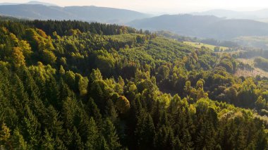 Kuzey Carolina 'daki Appalachian Dağları' nda güzel bir sabah manzarası. Sonbaharda Büyük Dumanlı Dağlar. Drone görünümü.