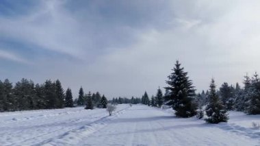 Karla kaplı tarlalar, karla kaplı kozalaklı ağaçlar, insansız hava araçları...