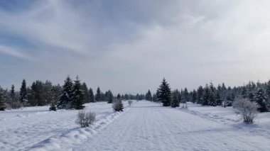 Karla kaplı tarlalar, karla kaplı kozalaklı ağaçlar, insansız hava araçları...