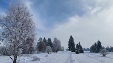 Karla kaplı tarlalar, karla kaplı kozalaklı ağaçlar, insansız hava araçları...