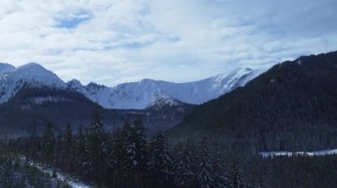 Dağların zirvesinde kar yağışlı kış kozalaklı orman Tatras Kaspravy Polonya 'da