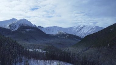 Dağların zirvesinde kar yağışlı kış kozalaklı orman Tatras Kaspravy Polonya 'da