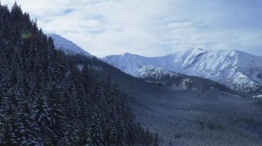 Dağların zirvesinde kar yağışlı kış kozalaklı orman Tatras Kaspravy Polonya 'da