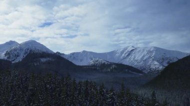 Dağların zirvesinde kar yağışlı kış kozalaklı orman Tatras Kaspravy Polonya 'da