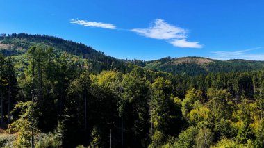 Aerial view of lush green forest with mountains creating a serene nature setting, Sitka, Alaska, USA.