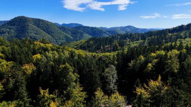 Aerial view of lush green forest with mountains creating a serene nature setting, Sitka, Alaska, USA.
