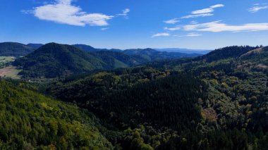 Aerial view of lush green forest with mountains creating a serene nature setting, Sitka, Alaska, USA.