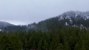Çek Cumhuriyeti 'nin Adrspach kaya bölgesindeki sisli orman ve kozalaklı ağaçların hava manzarası.