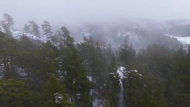 Çek Cumhuriyeti 'nin Adrspach kaya bölgesindeki sisli orman ve kozalaklı ağaçların hava manzarası.