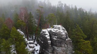 Çek Cumhuriyeti 'nin Adrspach kaya bölgesindeki sisli orman ve kozalaklı ağaçların hava manzarası.