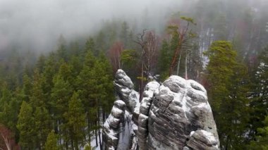 Çek Cumhuriyeti 'nin Adrspach kaya bölgesindeki sisli orman ve kozalaklı ağaçların hava manzarası.