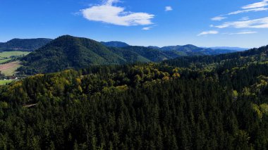 Drone view autumn view coniferous forest hills mountains USA.
