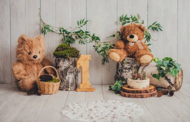 Huş ağacı, yosun ve ayı yavrularıyla dolu orman tarzı bir fotoğraf bölgesi için dekorasyon. 