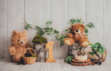 Huş ağacı, yosun ve ayı yavrularıyla dolu orman tarzı bir fotoğraf bölgesi için dekorasyon. 