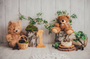 Huş ağacı, yosun ve ayı yavrularıyla dolu orman tarzı bir fotoğraf bölgesi için dekorasyon. 