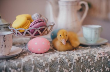 Paskalya masasında küçük sarı ördek yavrusu 
