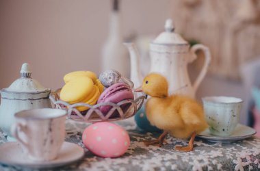 Paskalya masasında küçük sarı ördek yavrusu 