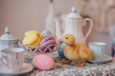 Paskalya masasında küçük sarı ördek yavrusu 