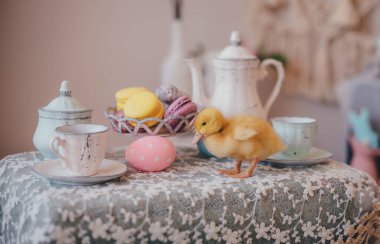 Paskalya masasında küçük sarı ördek yavrusu 