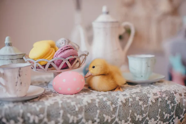 Little Yellow Duckling Easter Table — Stock Photo, Image