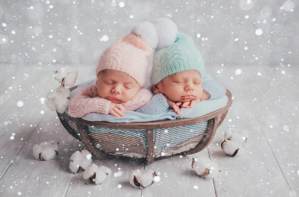 Tweelingen Zijn Pasgeboren Broer Zus Pasgeboren Meisje Jongen Hoeden Met — Stockfoto