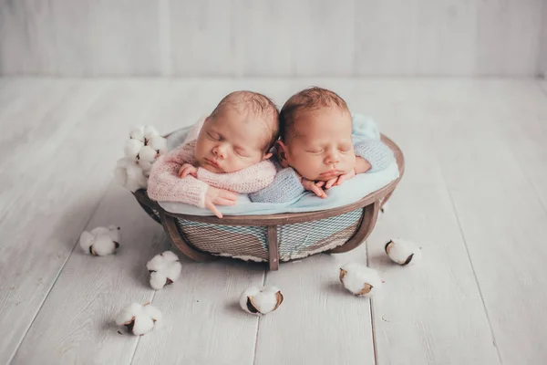 Tweelingen Zijn Pasgeboren Broer Zus Pasgeboren Meisje Jongen Hoeden Met — Stockfoto