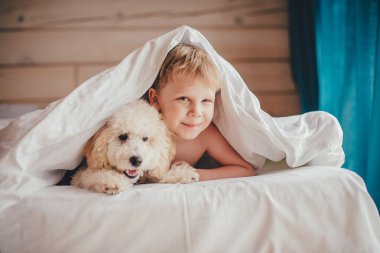 Bir çocuk ve bir kaniş yavrusu yatağa uzanıp yorganın altından dışarı bakıyorlar. Kameraya bakıyorum..