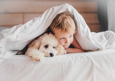 The boy and the poodle puppy lie on the bed. The boy hugs the poodle. clipart